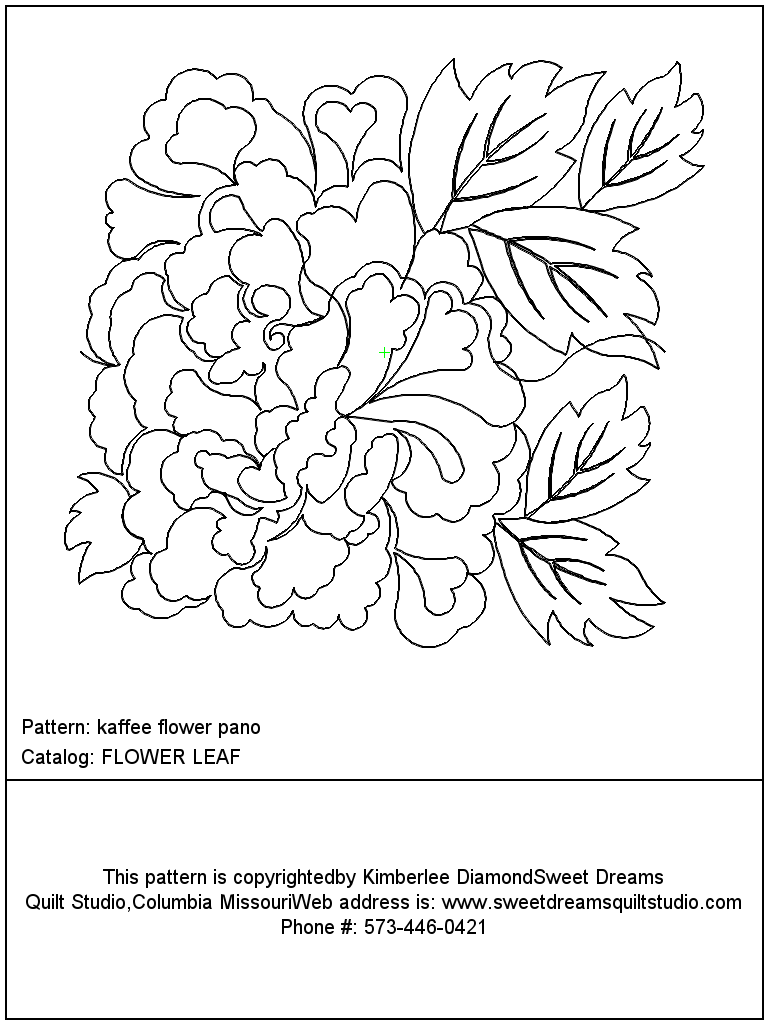 Kafee Flower Pano
